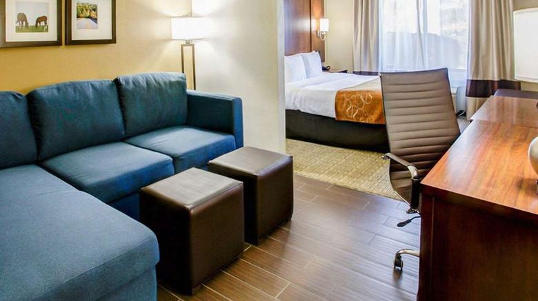 <b>Comfort Suites Georgetown Room</b>. Images powered by <a href="https://iceportal.shijigroup.com/" title="IcePortal" target="_blank">IcePortal</a>.