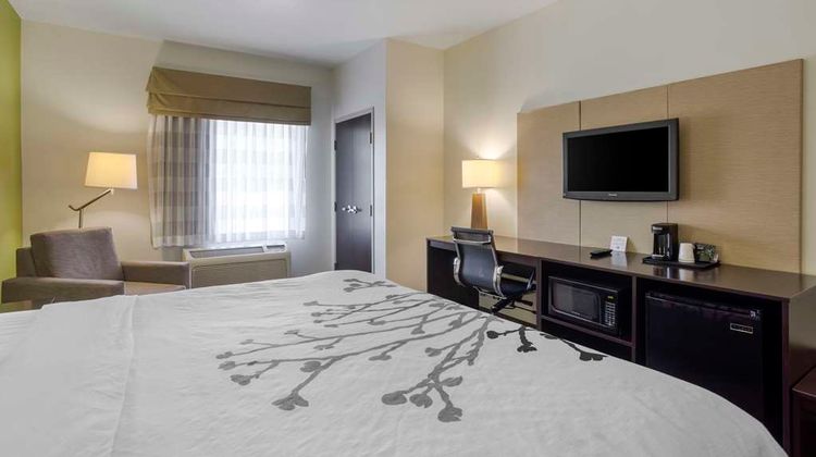 Sleep Inn and Suites Cave City Room