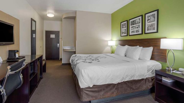 Sleep Inn and Suites Cave City Room