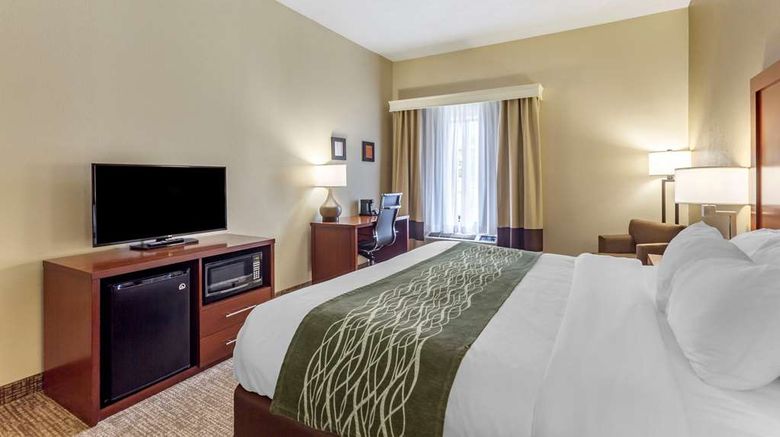 <b>Comfort Inn and Suites Cave City Room</b>. Images powered by <a href="https://iceportal.shijigroup.com/" title="IcePortal" target="_blank">IcePortal</a>.