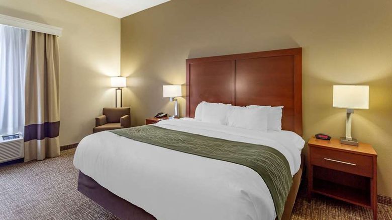 <b>Comfort Inn and Suites Cave City Room</b>. Images powered by <a href="https://iceportal.shijigroup.com/" title="IcePortal" target="_blank">IcePortal</a>.