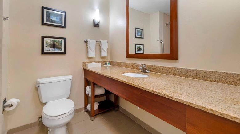 <b>Comfort Suites Elizabethtown Room</b>. Images powered by <a href="https://iceportal.shijigroup.com/" title="IcePortal" target="_blank">IcePortal</a>.