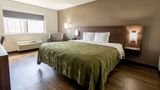 <b>Quality Inn Carrollton Room</b>. Images powered by <a href="https://iceportal.shijigroup.com/" title="IcePortal" target="_blank">IcePortal</a>.