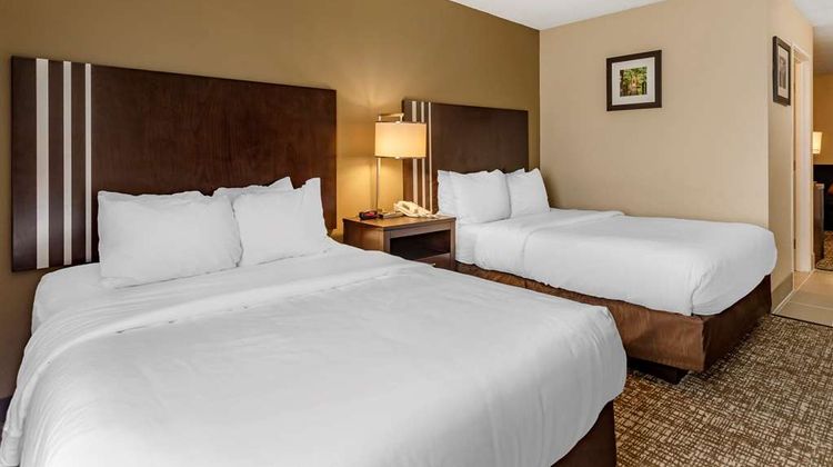Comfort Inn Room