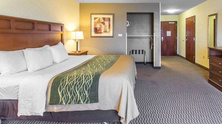 Comfort Inn & Suites Room