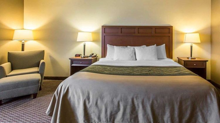 Comfort Inn & Suites Room