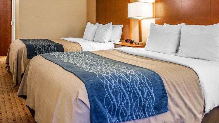 Comfort Inn & Suites Room