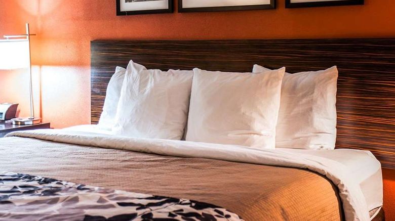 <b>Sleep Inn and Suites Fort Campbell Room</b>. Images powered by <a href="https://iceportal.shijigroup.com/" title="IcePortal" target="_blank">IcePortal</a>.