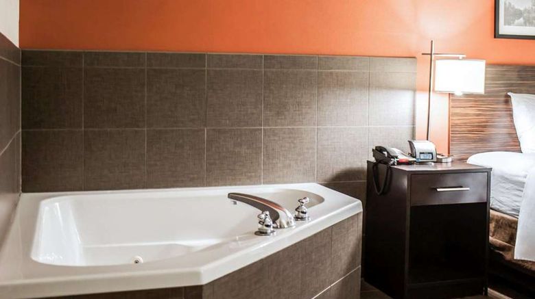 <b>Sleep Inn and Suites Fort Campbell Room</b>. Images powered by <a href="https://iceportal.shijigroup.com/" title="IcePortal" target="_blank">IcePortal</a>.