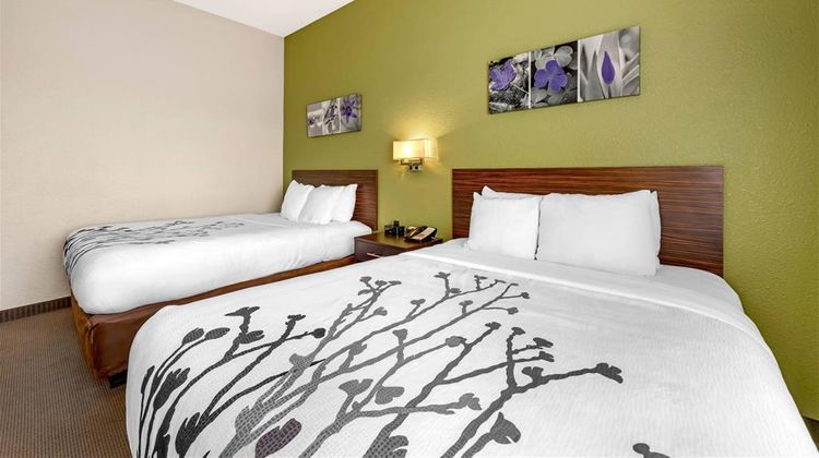 Sleep Inn & Suites Columbia Room