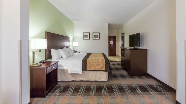 Comfort Inn Room