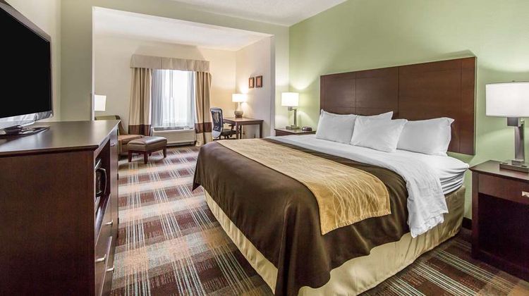 Comfort Inn Room