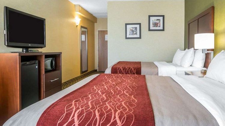 Comfort Inn Winchester Room
