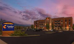 Comfort Suites Florence
