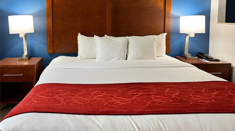 Comfort Suites Suite