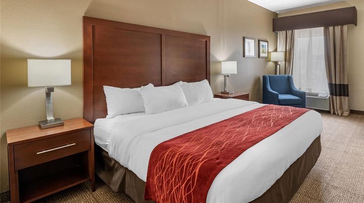Comfort Inn Room