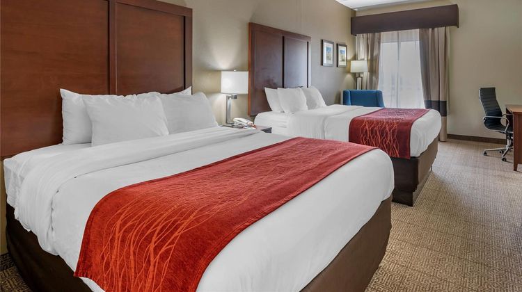 Comfort Inn Room