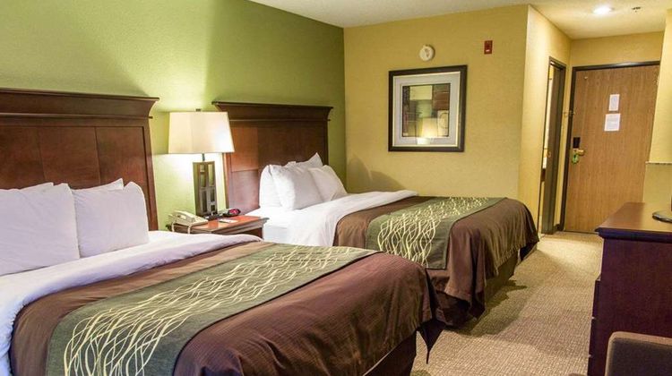 Comfort Inn Room