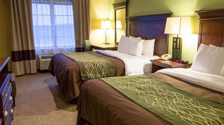 Comfort Inn Room