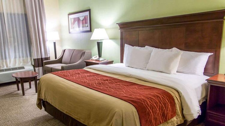 Comfort Inn Suite