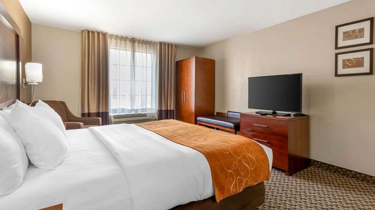 Comfort Suites Suite