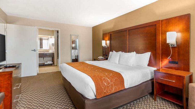 Comfort Suites Suite
