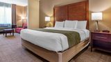 <b>Comfort Inn Amite City Suite</b>. Images powered by <a href="https://iceportal.shijigroup.com/" title="IcePortal" target="_blank">IcePortal</a>.