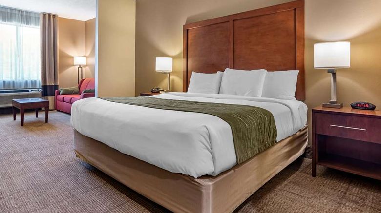<b>Comfort Inn Amite City Suite</b>. Images powered by <a href="https://iceportal.shijigroup.com/" title="IcePortal" target="_blank">IcePortal</a>.
