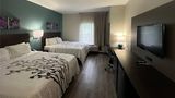 <b>Sleep Inn & Suites Room</b>. Images powered by <a href="https://iceportal.shijigroup.com/" title="IcePortal" target="_blank">IcePortal</a>.