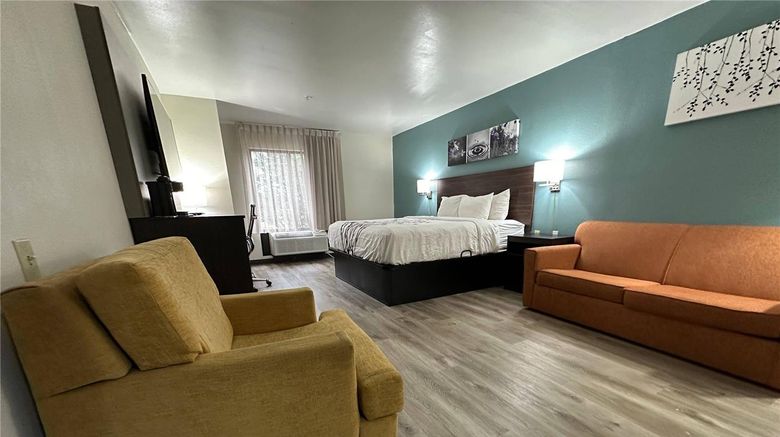 <b>Sleep Inn & Suites Suite</b>. Images powered by <a href="https://iceportal.shijigroup.com/" title="IcePortal" target="_blank">IcePortal</a>.