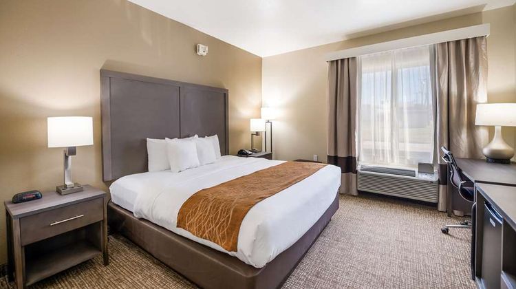 Comfort Inn Room