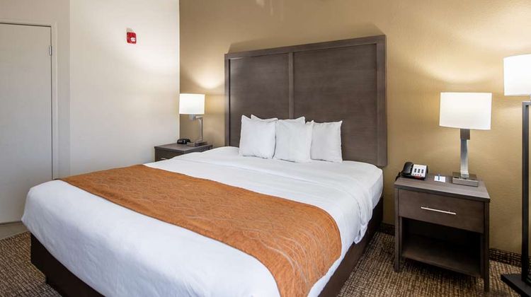 Comfort Inn Room