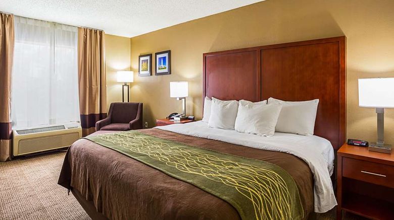 <b>Comfort Inn Baton Rouge Room</b>. Images powered by <a href="https://iceportal.shijigroup.com/" title="IcePortal" target="_blank">IcePortal</a>.
