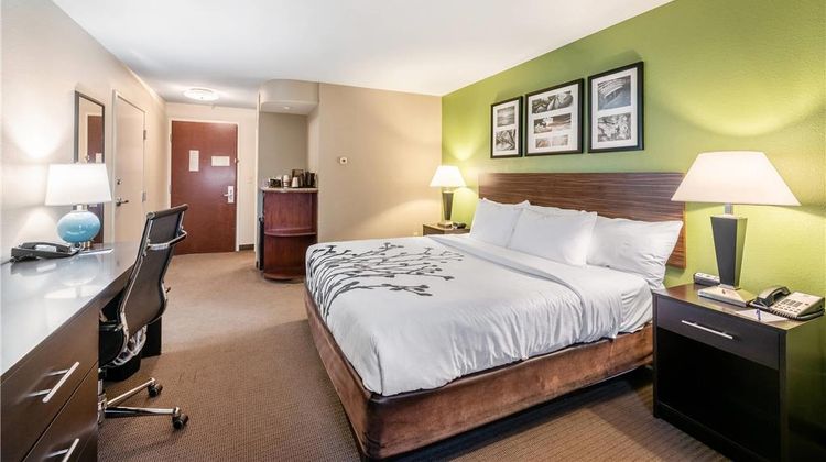 Sleep Inn & Suites Room