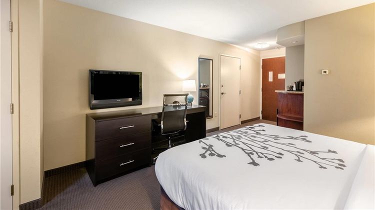 Sleep Inn & Suites Room