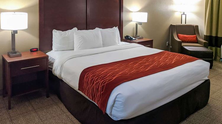 Comfort Inn Room