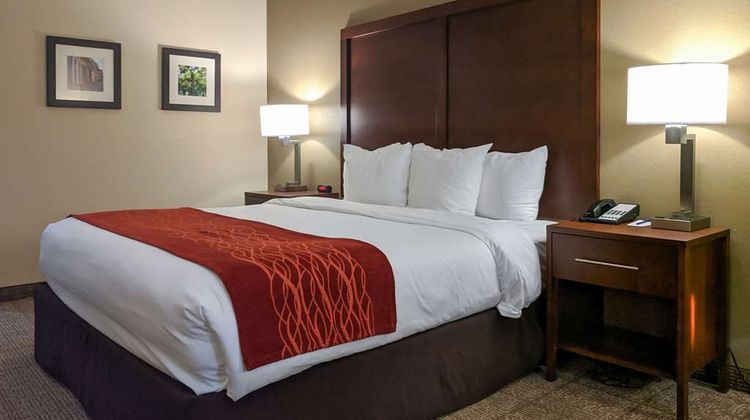 Comfort Inn Room