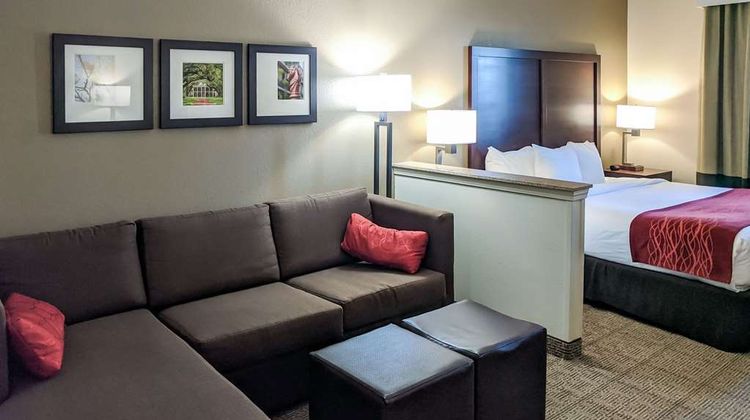 Comfort Inn Suite