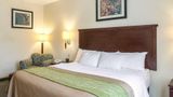 <b>Quality Inn Donaldsonville Room</b>. Images powered by <a href="https://iceportal.shijigroup.com/" title="IcePortal" target="_blank">IcePortal</a>.