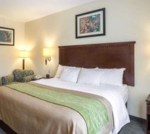 Quality Inn Donaldsonville Room