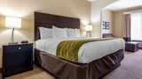 Comfort Inn & Suites Suite