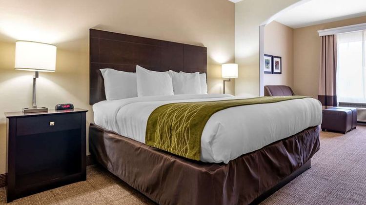 Comfort Inn And Suites Scott West Lafayette Suite