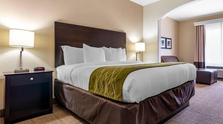 Comfort Inn And Suites Scott West Lafayette Suite