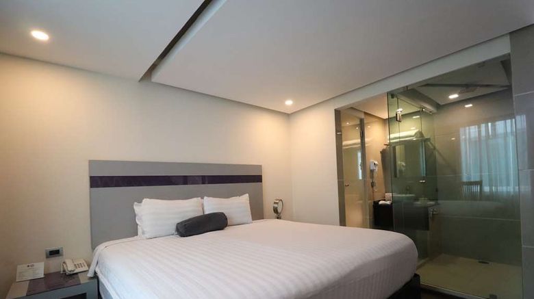 <b>Best Western Plus Metepec & Suites Room</b>. Images powered by <a href="https://iceportal.shijigroup.com/" title="IcePortal" target="_blank">IcePortal</a>.