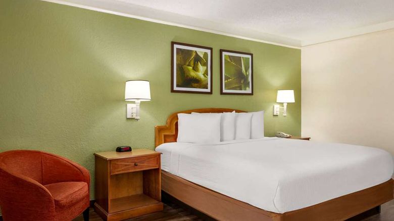 <b>Baymont by Wyndham Daytona Beach Room</b>. Images powered by <a href="https://iceportal.shijigroup.com/" title="IcePortal" target="_blank">IcePortal</a>.