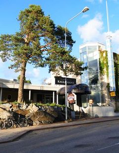 Hotel Kalliohovi