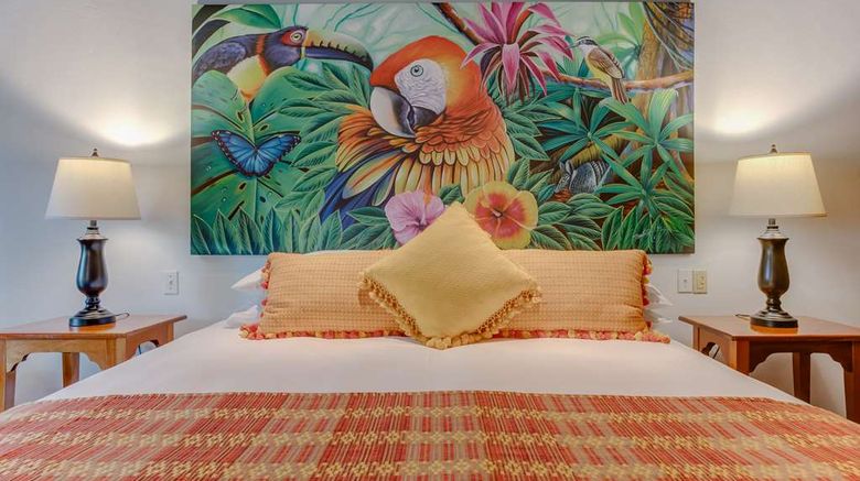 <b>The Lodge Chaa Creek Suite</b>. Images powered by <a href="https://iceportal.shijigroup.com/" title="IcePortal" target="_blank">IcePortal</a>.