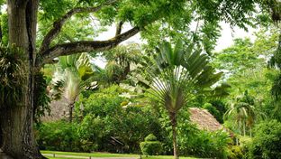 The Lodge Chaa Creek