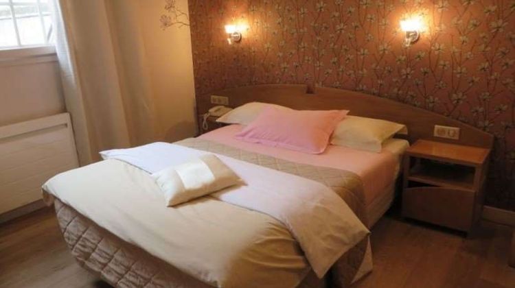 Hotel Le Vert Galant Room