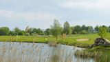 Maritim Strandhotel Travemuende Golf